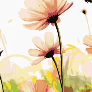 Diamond painting - BLÜTEN AUF DER WIESE Begrenztes Angebot