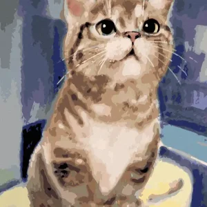 Jetzt Bestellen Diamond painting - EINE NEUGIERIGE KATZE