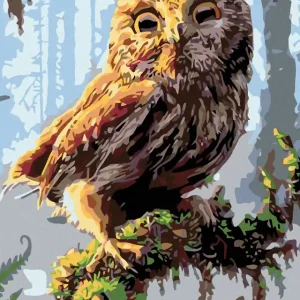 Diamond painting - KLEINE EULE Meistverkauft