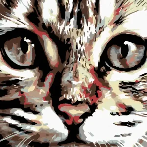 Diamond painting - GESTREIFTES KÄTZCHEN Abverkauf