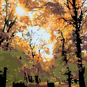 Diamond painting - HERBSTBÄUME Gleich Bestellen