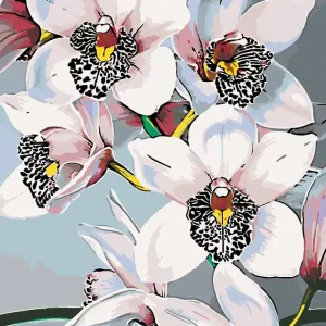 Kostenfreie Lieferung Diamond painting - WUNDERSCHÖNE ORCHIDEEN