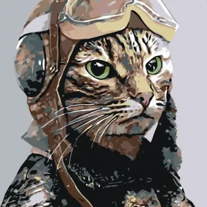 Premium Diamond painting - PILOT