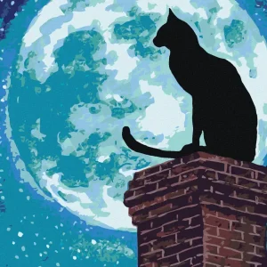 Diamond painting - KATZE AUF EINEM SCHORNSTEIN UND VOLLMOND Highlight