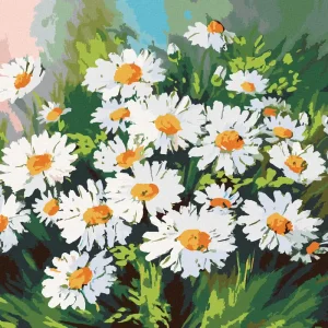 Geld-Zurück-Garantie Diamond painting - MARGERITEN IM GRAS