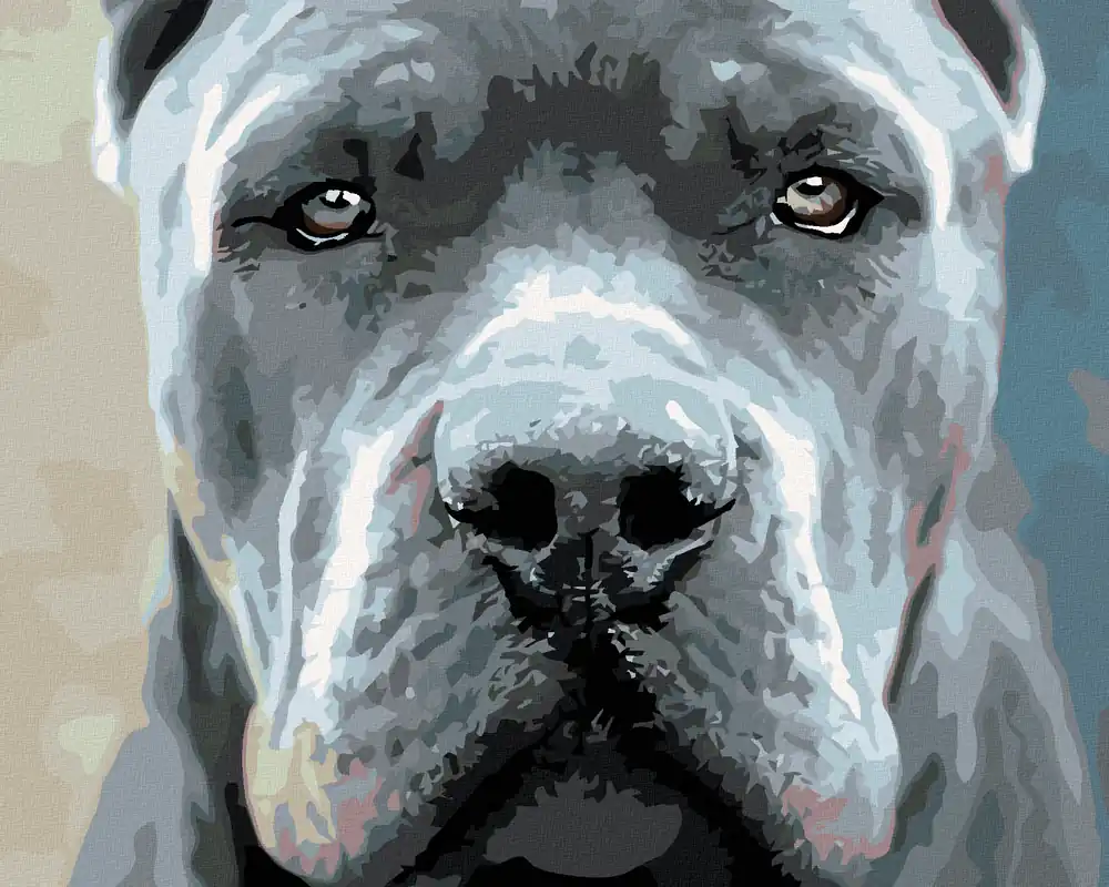 Heute Kaufen Diamond painting – CANE CORSO