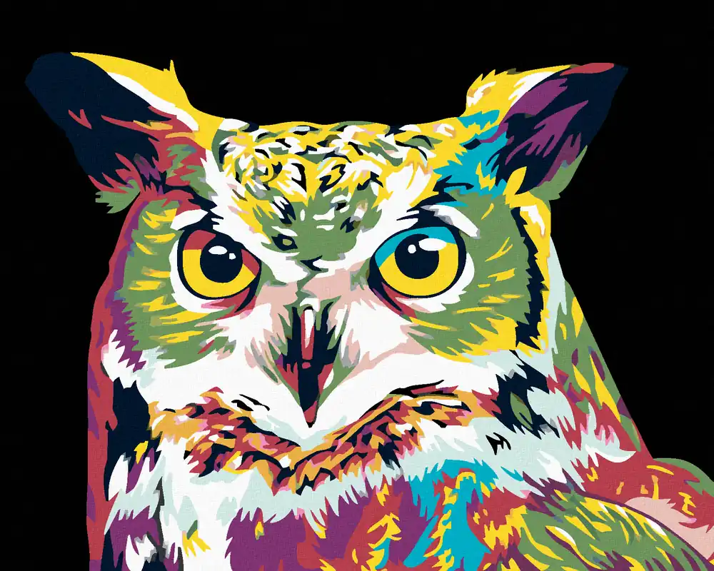Handgefertigt Diamond painting – FARBIGE EULE