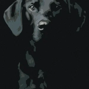 Original Diamond painting - SCHWARZWEIßER HUND