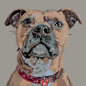 Kostenloser Rückversand Diamond painting - WACHSAMER HUND UND HERZCHEN-HALSBAND