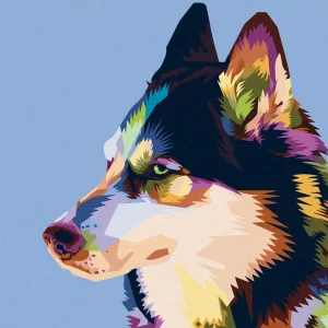 Diamond painting - BUNTER HUSKY Heißes Angebot