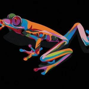 Diamond painting - FARBIGES FRÖSCHLEIN Heißes Angebot