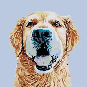 Abverkauf Diamond painting - GOLDENER RETRIEVER