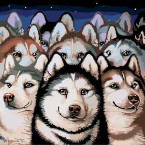 Weltweiter Versand Diamond painting - RUDEL HUSKY