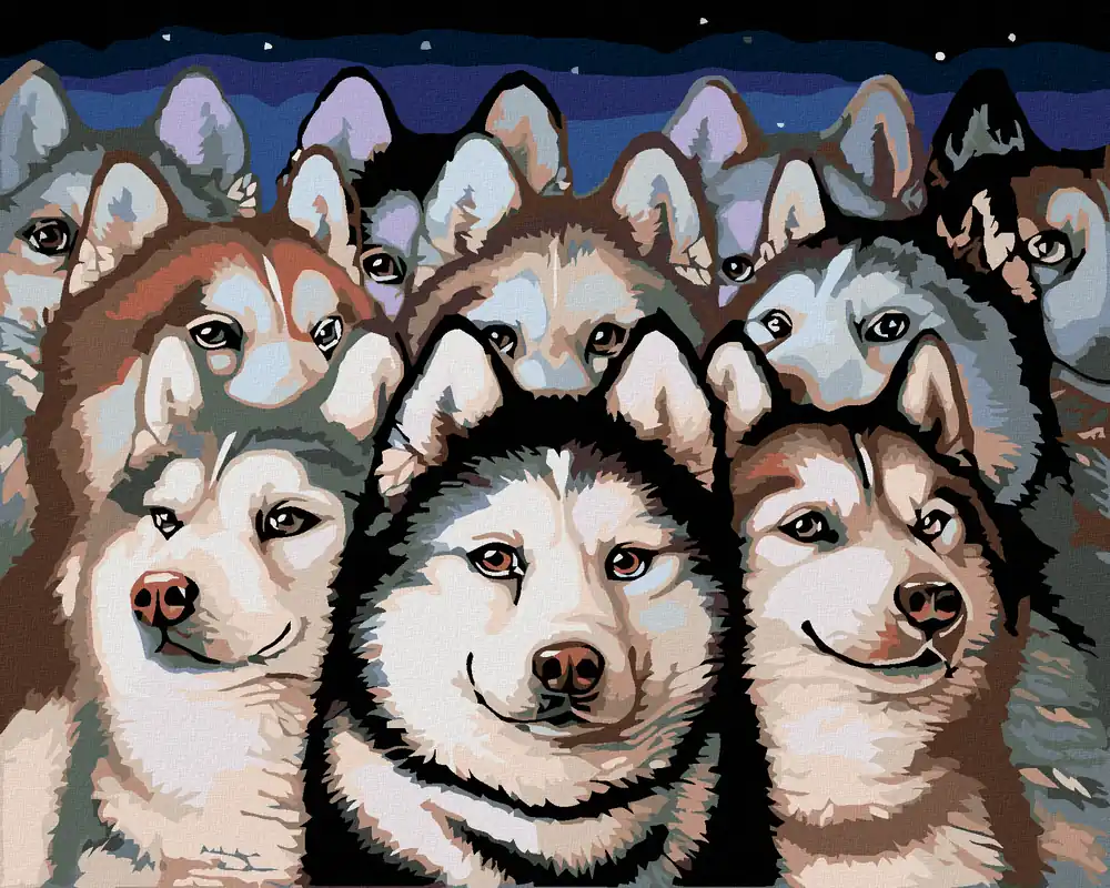 Weltweiter Versand Diamond painting – RUDEL HUSKY