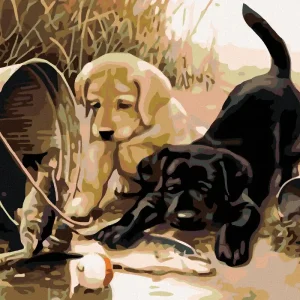 Bestpreis Diamond painting - HUNDEWELPCHEN MIT FISCH