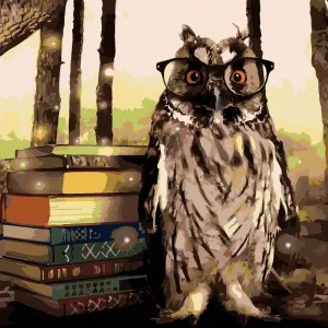 Diamond painting - EULE MIT BÜCHERN Schnäppchen