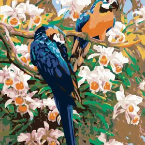 Heißes Angebot Diamond painting - PAPAGEIEN II