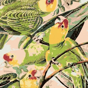 Diamond painting - PAPAGEIEN AUF DEM ZWEIG Preisknaller