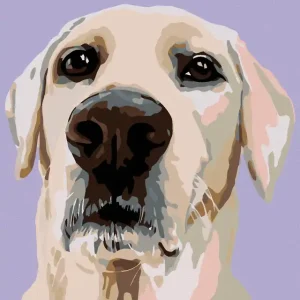 Top-Angebot Diamond painting - LABRADOR RETRIEVER