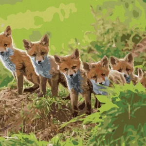 Preisknaller Diamond painting - FUCHS UND IHRE BANDE