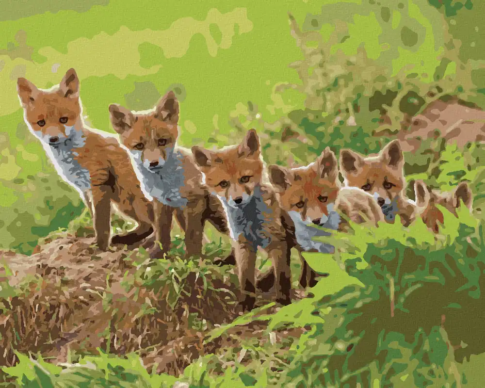 Preisknaller Diamond painting – FUCHS UND IHRE BANDE