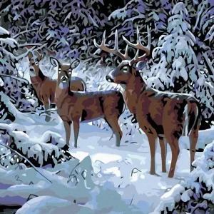 Diamond painting - HIRSCH MIT HINDIN IM WINTER Sonderangebot