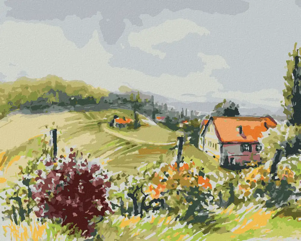 Begrenztes Angebot Diamond painting – LANDSCHAFT MIT WEINBERGEN