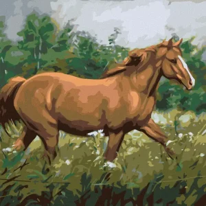 Diamond painting - BRAUNES PFERD GRASEND IN WALDNÄHE Sonderaktion