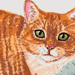 Diamond painting - BEIGE KATZE UND GRÜNE AUGEN Letzte Chance