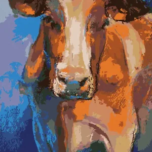 Preis Gesenkt Diamond painting - FARBIGER KUHKOPF