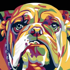 Expressversand Diamond painting - BULLDOGGE