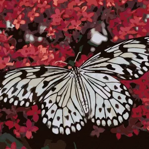 Diamond painting - WEISSER SCHMETTERLING UND ROTE BLUMEN Online Kaufen