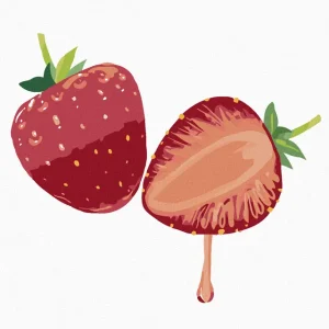 Diamond painting - ERDBEEREN Preis Gesenkt