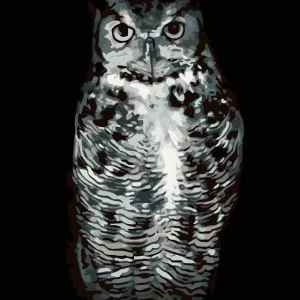 Diamond painting - SCHWARZWEIßE EULE Direktkauf