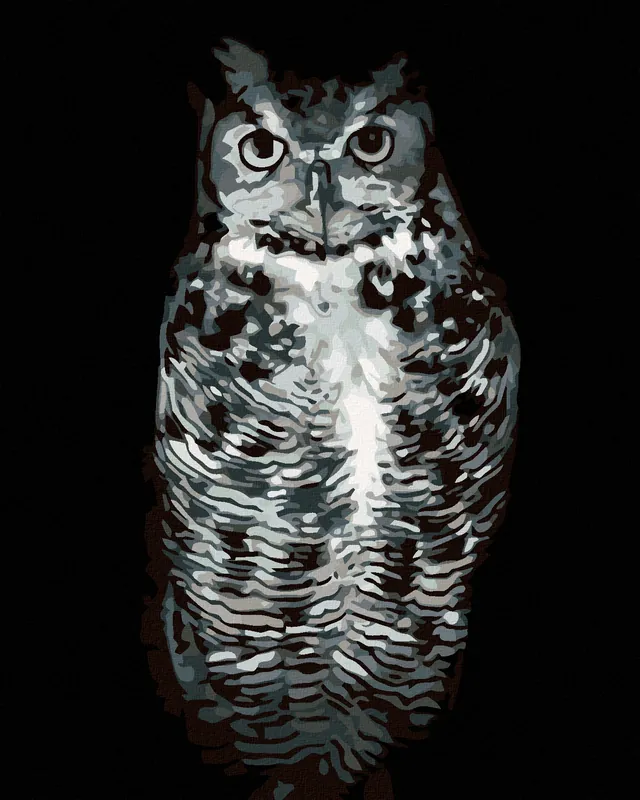 Diamond painting – SCHWARZWEIßE EULE Direktkauf