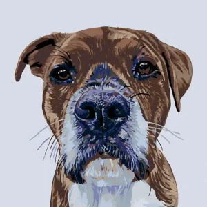 Diamond painting - HUNDEBLICK Original