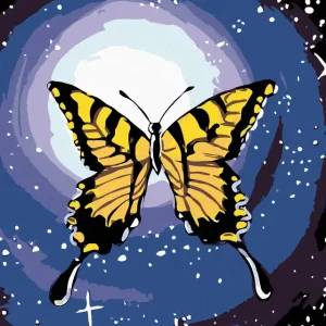 Billig Diamond painting - SCHMETTERLING UND NACHTHIMMEL