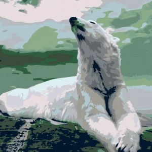 Diamond painting - EISBÄR Angebot