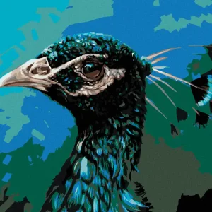 Bestpreis Diamond painting - PROFIL VOM PFAU