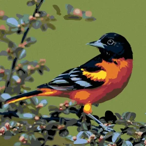 Diamond painting - SCHWARZKOPF-KARDINAL Im Trend