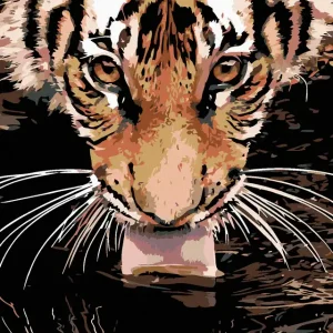 Sonderangebot Diamond painting - TIGER AM WASSER