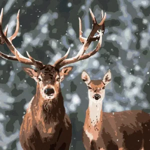Diamond painting - EDLER HIRSCH UND HIRSCHKUH IM VERSCHNEITEN WALD Top-Qualität