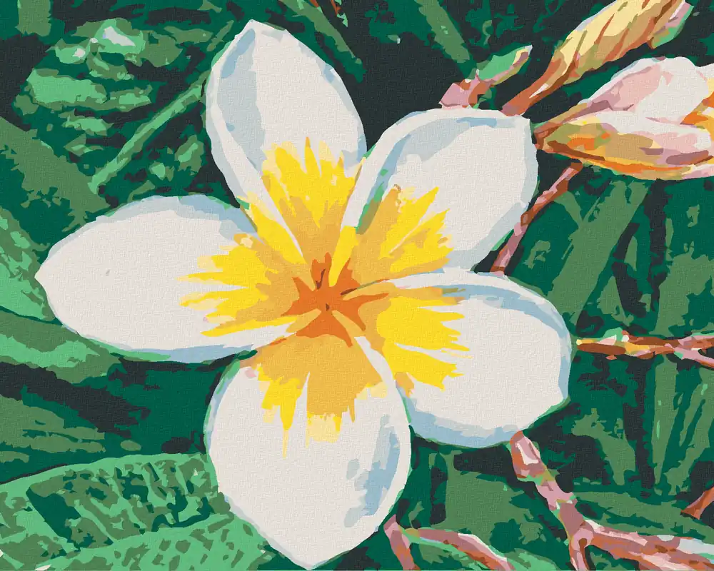 Kostenloser Rückversand Diamond painting – HAWAIIANISCHE BLUME