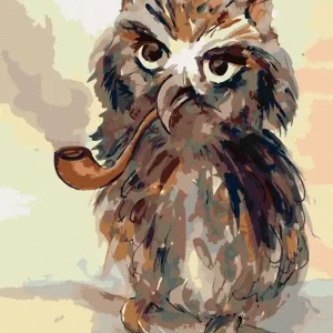 Schneller Versand Diamond painting - EULE MIT PFEIFE