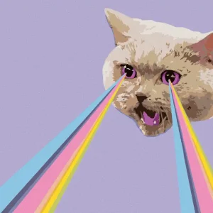 Diamond painting - KATZEN UND REGENBOGENLASER Exklusiv