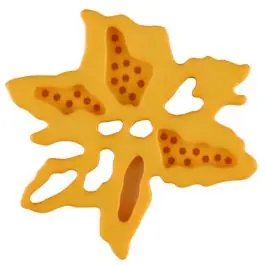 außergewöhnlicher Blumenknopf mit 2 Löchern – Größe: 23mm – Farbe: gelb – Art.Nr. 287711 Bestseller