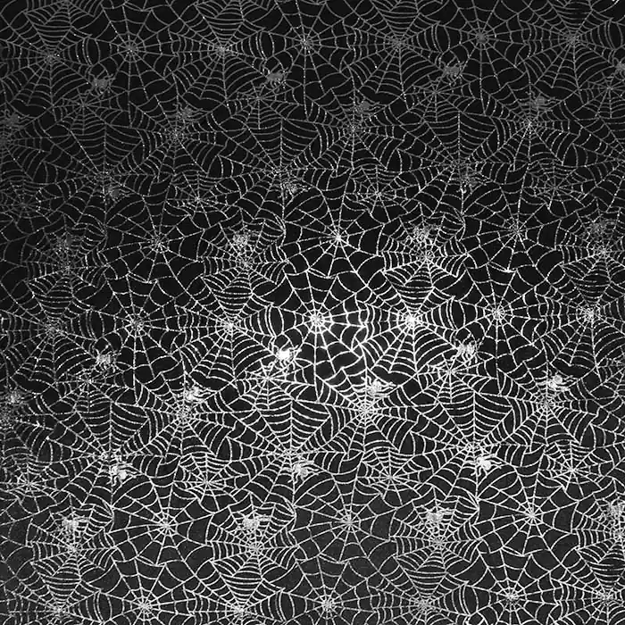 Expressversand Plüsch elastisch, festlich, 30165-999