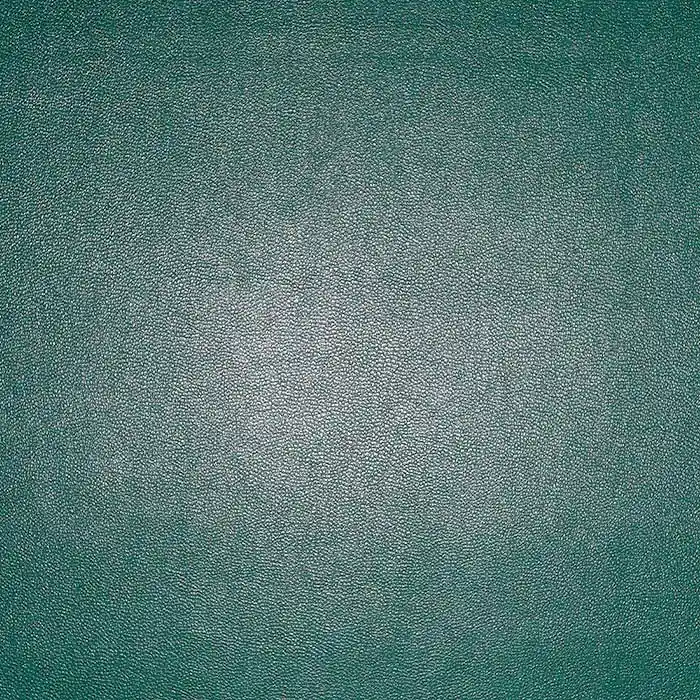 Direktkauf Bekleidungskunstleder, 25393-245, grün