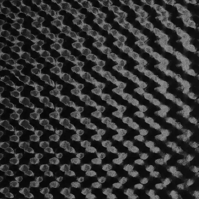 Plüsch, Polyester, Kreise, 29400-690, schwarz Beliebt