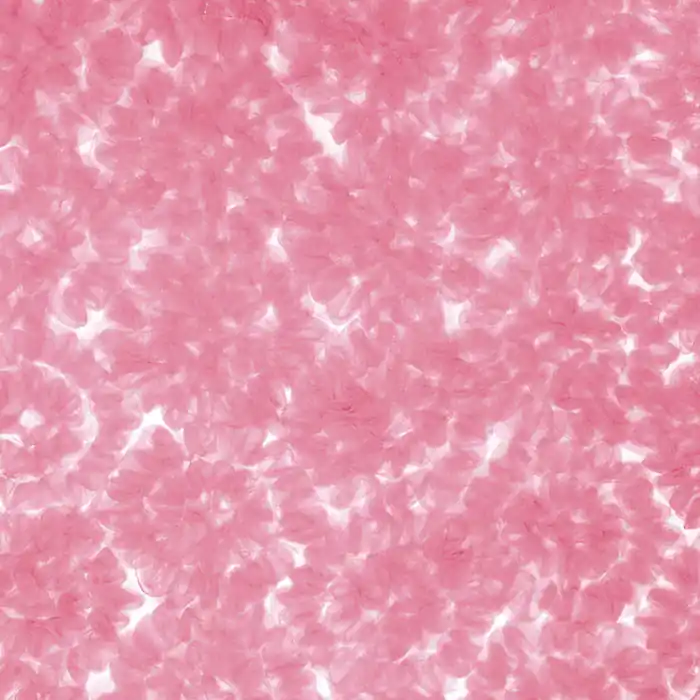 Spitze, Tüll, floral, 26291-721, rosa Mega-Angebot